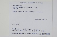 絨毛石葦藏品圖，第2張