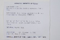 團羽鱗蓋蕨藏品圖，第2張