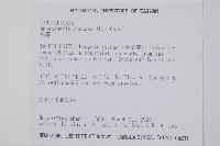 烏蕨藏品圖，第2張