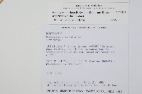 臺灣狗脊蕨藏品圖，第2張