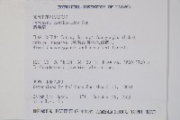 柄囊蕨藏品圖，第2張