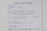 車前蕨藏品圖，第2張