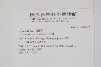 石松藏品圖，第2張