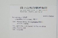 地刷子藏品圖，第2張