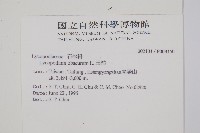 玉山石松藏品圖，第2張