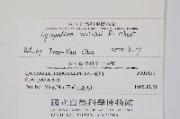 玉山石松藏品圖，第2張
