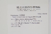 擬芨瓦葦藏品圖，第2張