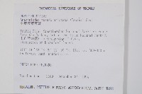 小葉複葉耳蕨藏品圖，第2張