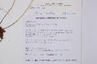 登錄號:P003156藏品圖，第2張