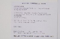 長柄千層塔藏品圖，第2張