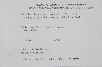 薄葉孔雀鐵角蕨、邊孢鐵角蕨藏品圖，第6張