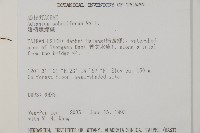 翅柄鐵線蕨藏品圖，第2張