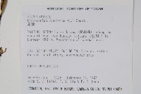 星蕨藏品圖，第2張