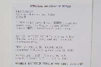 抱樹石葦藏品圖，第2張