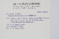 圓葉陵齒蕨藏品圖，第2張