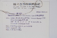 小葉複葉耳蕨藏品圖，第2張