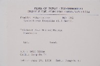 冷蕨藏品圖，第2張