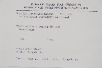 芽胞耳蕨、芽孢耳蕨藏品圖，第2張