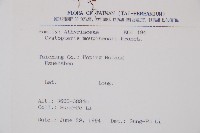 寬葉冷蕨藏品圖，第2張