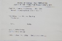 細葉蕗蕨藏品圖，第2張