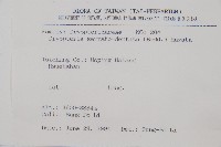 鋸齒葉鱗毛蕨藏品圖，第2張