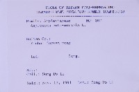 銀杏葉鐵角蕨藏品圖，第2張