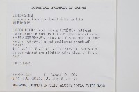 圓葉陵齒蕨藏品圖，第2張