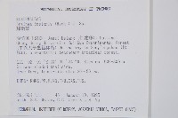 蘇鐵蕨藏品圖，第7張