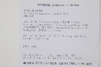 韓氏耳蕨藏品圖，第2張