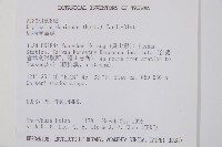 細柄雙蓋蕨藏品圖，第2張