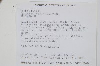 帶狀瓶爾小草藏品圖，第2張