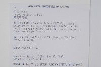 箭葉鳳尾蕨藏品圖，第2張