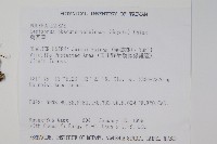 麟瓦葦、川上氏瓦葦藏品圖，第2張