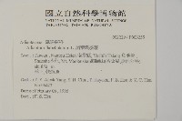 扇葉鐵線蕨藏品圖，第2張