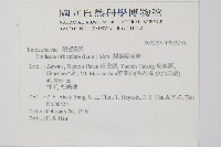 圓葉陵齒蕨藏品圖，第2張