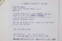 韓氏耳蕨藏品圖，第2張