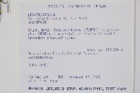 全緣貫眾蕨藏品圖，第2張