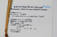 膜葉星蕨藏品圖，第2張