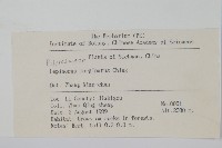 有邊瓦葦藏品圖，第2張