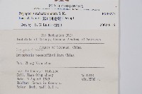 藏布鱗毛蕨藏品圖，第2張