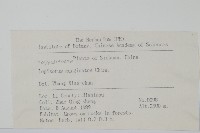 有邊瓦葦藏品圖，第2張