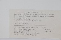 翅軸假金星蕨、短柄卵果蕨藏品圖，第2張