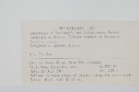 玉山卷柏藏品圖，第2張