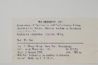 扭瓦葦藏品圖，第2張