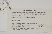 兩色瓦葦藏品圖，第2張