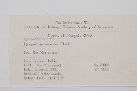 千層塔藏品圖，第2張