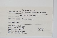 石葦藏品圖，第2張