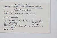 鞭葉耳蕨藏品圖，第2張