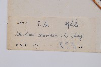 烏蕨藏品圖，第2張