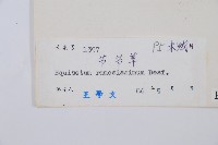 木賊藏品圖，第2張